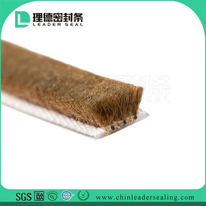 Con dấu thời tiết cửa